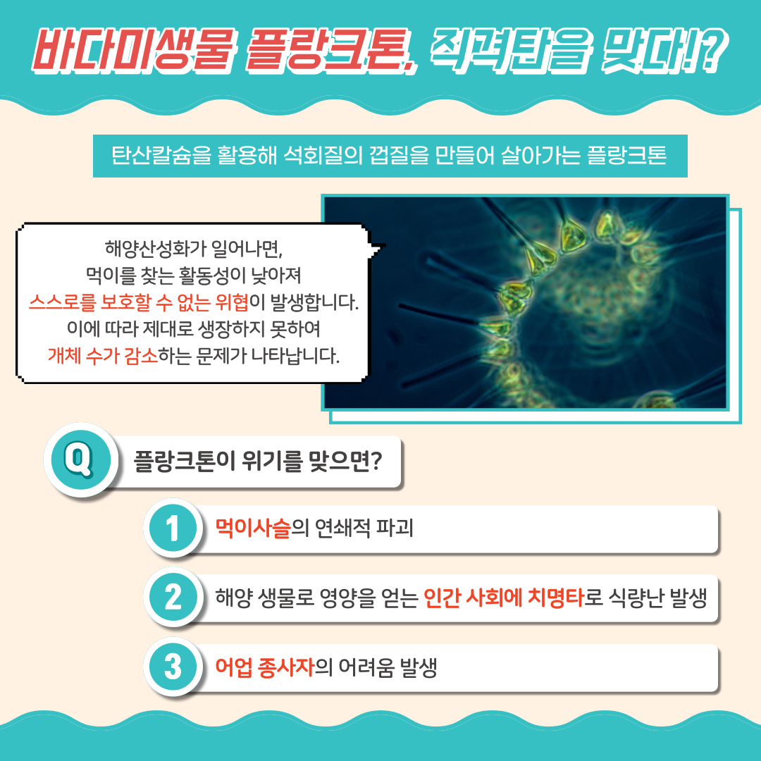 beeab23e0e787867e872e0a77bfae267_1645603359_1957.png